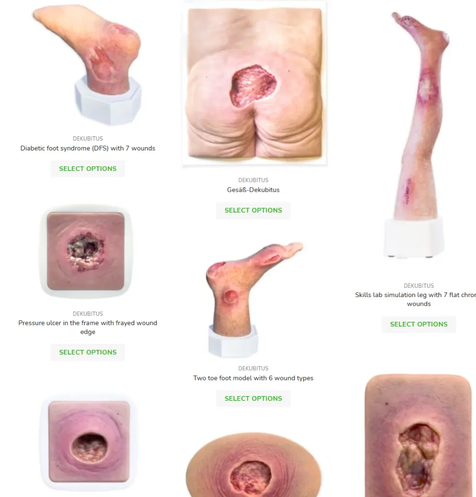 all wounds models.webp